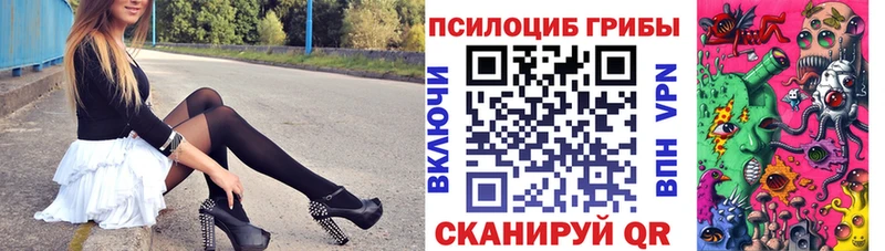 где можно купить   omg вход  Галлюциногенные грибы Magic Shrooms  Александровск-Сахалинский 
